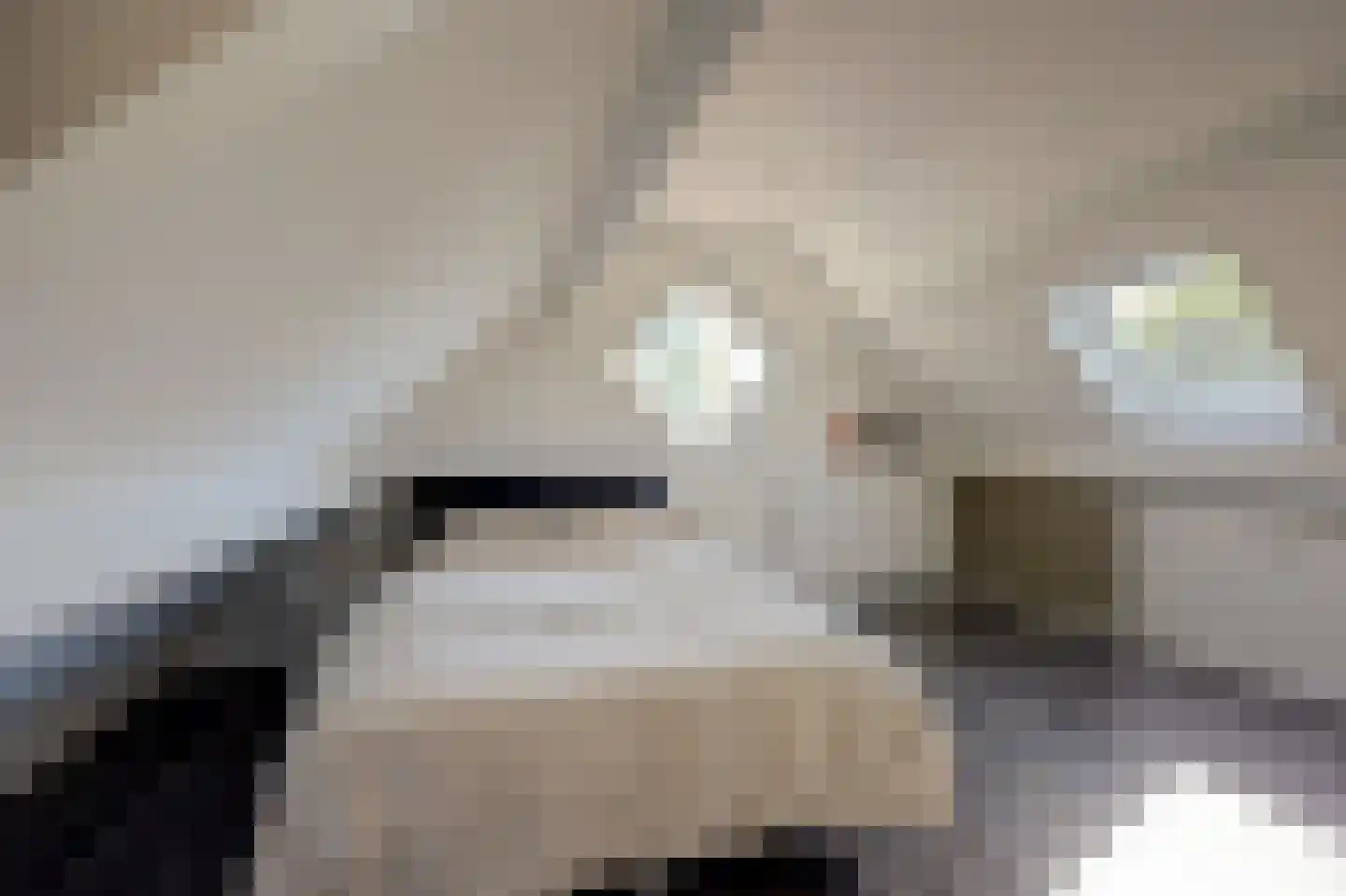 Grote Geer 1 Haalderen thumbnail 37