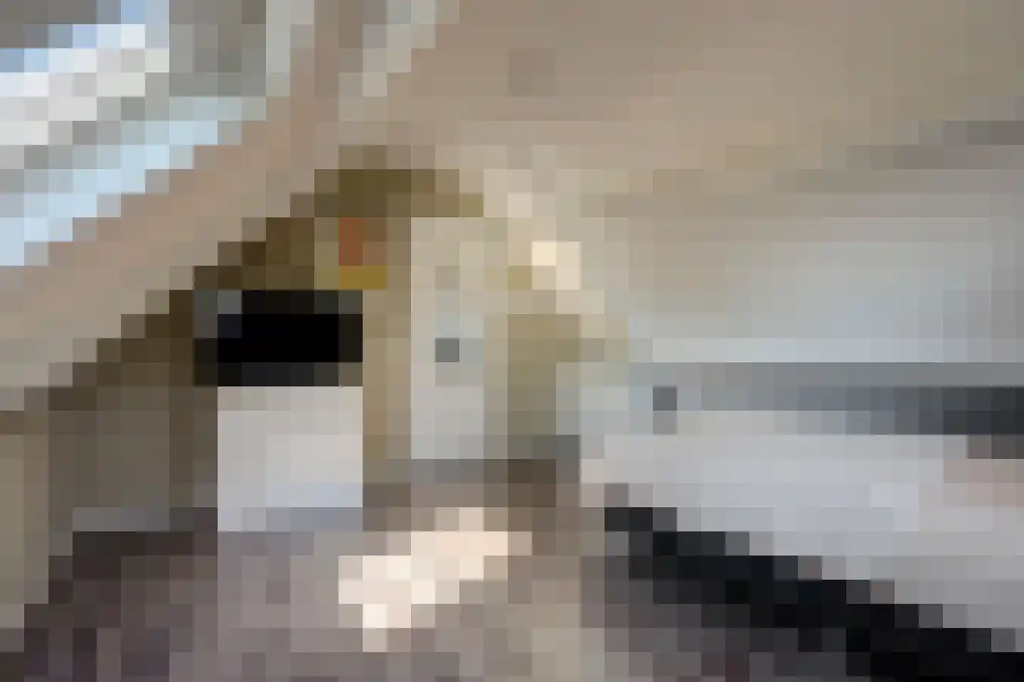 Grote Geer 1 Haalderen thumbnail 38