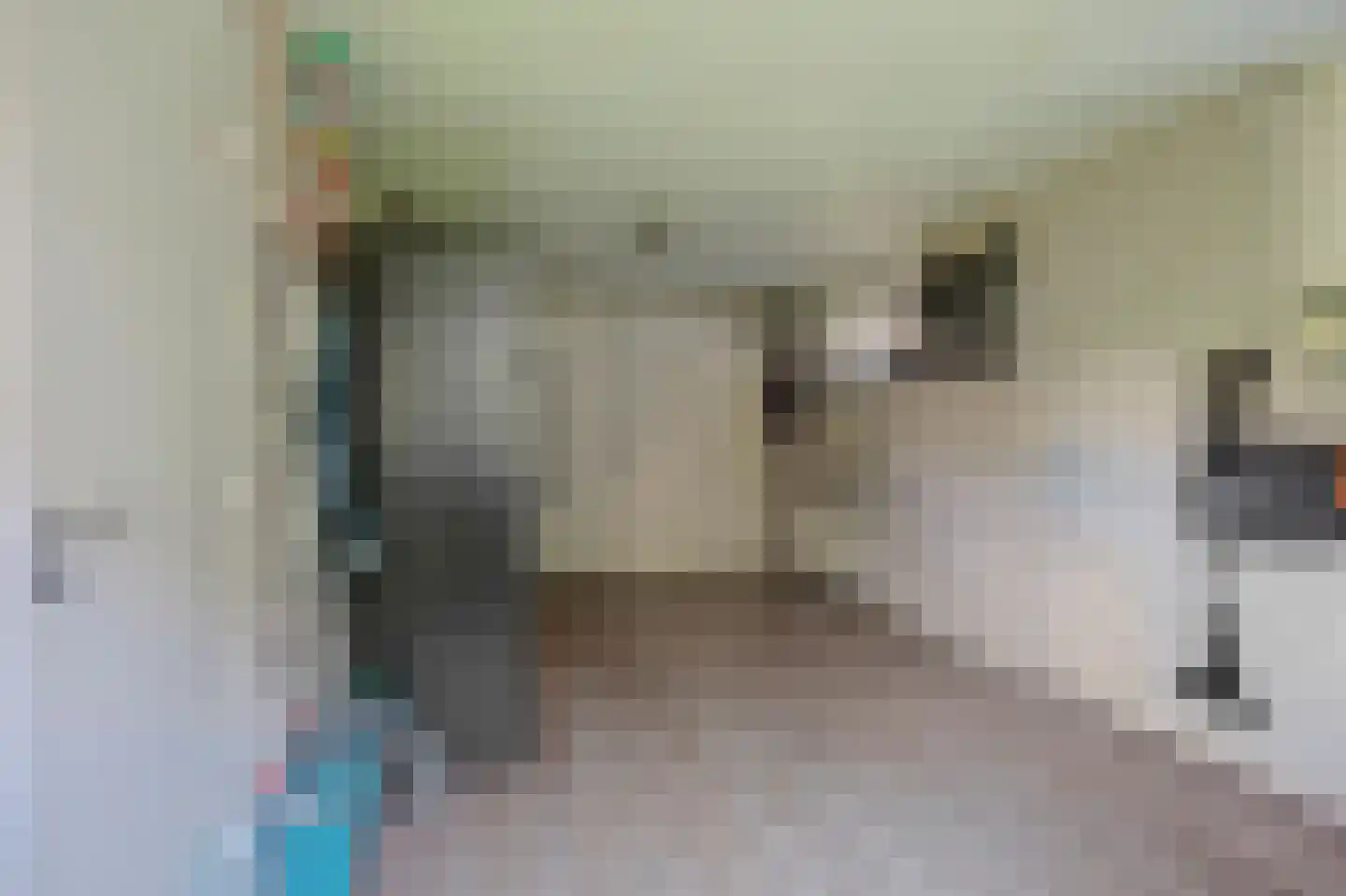 Grote Geer 1 Haalderen thumbnail 41