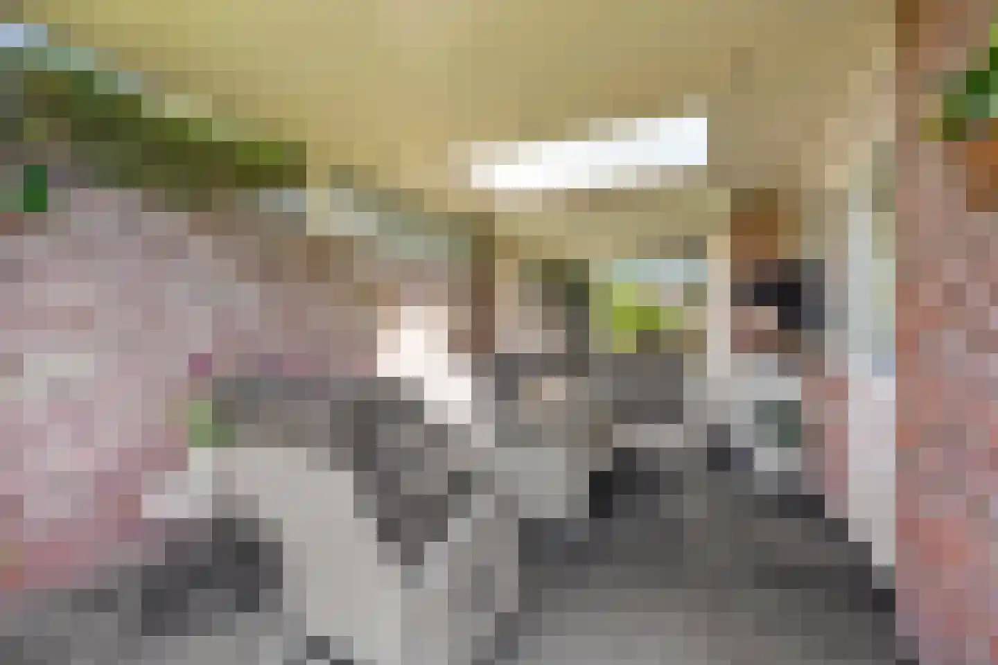 Grote Geer 1 Haalderen thumbnail 42
