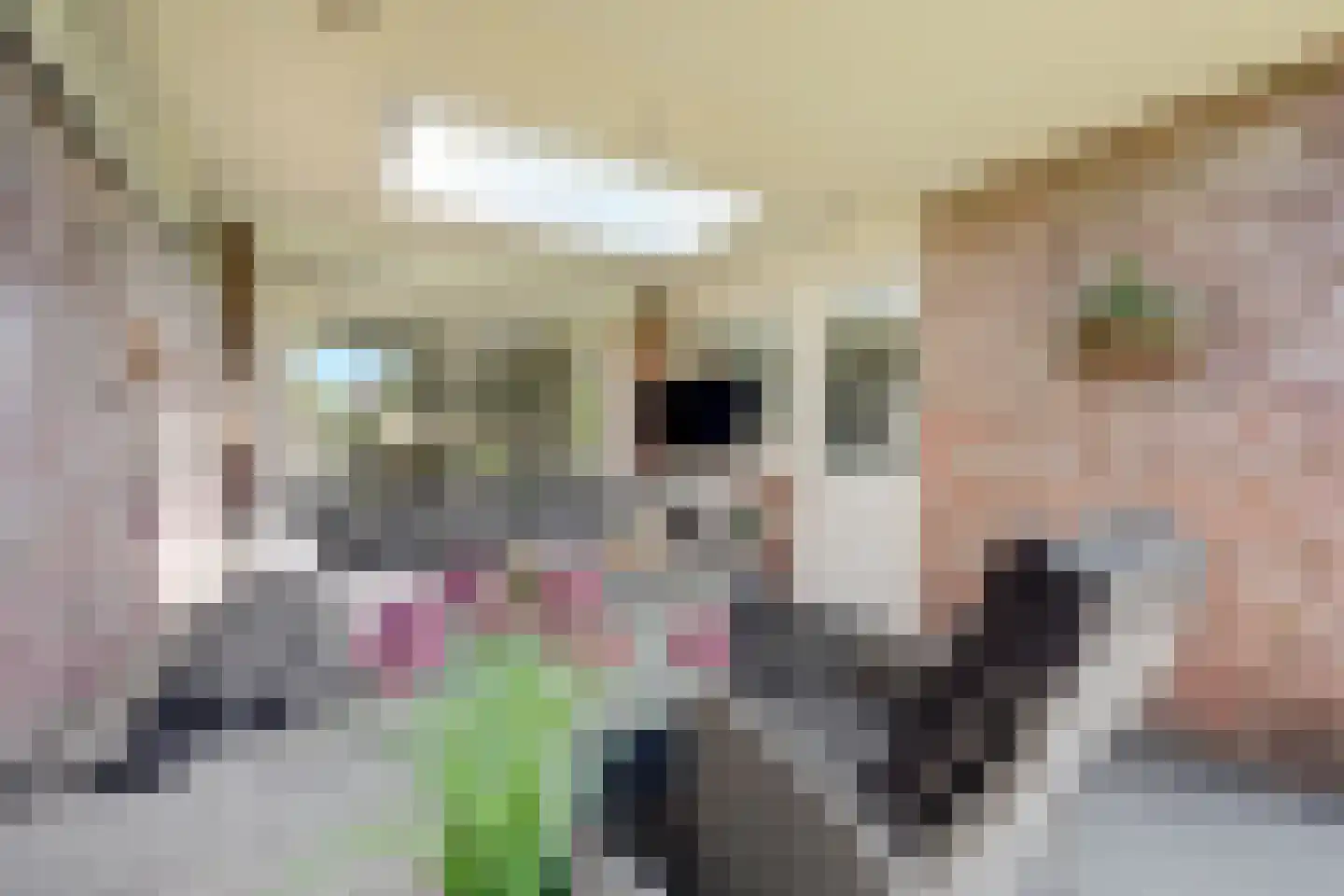 Grote Geer 1 Haalderen thumbnail 43