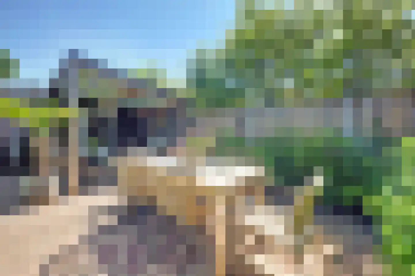 Grote Geer 1 Haalderen thumbnail 51
