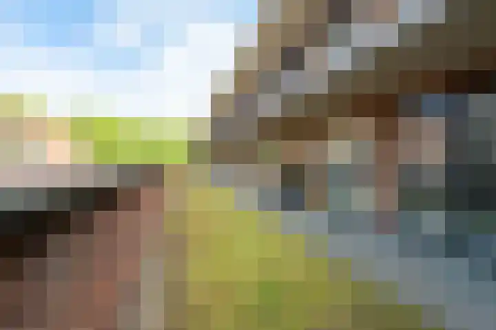 Grote Geusplein 111 Vianen thumbnail 23