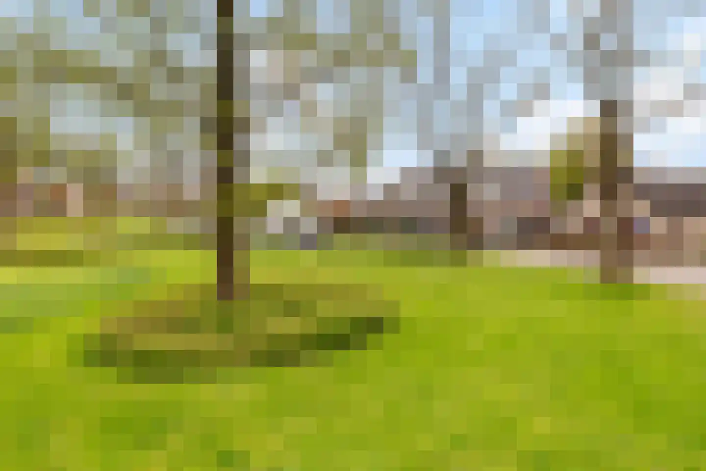 Grote Gracht 59 Hattem thumbnail 4