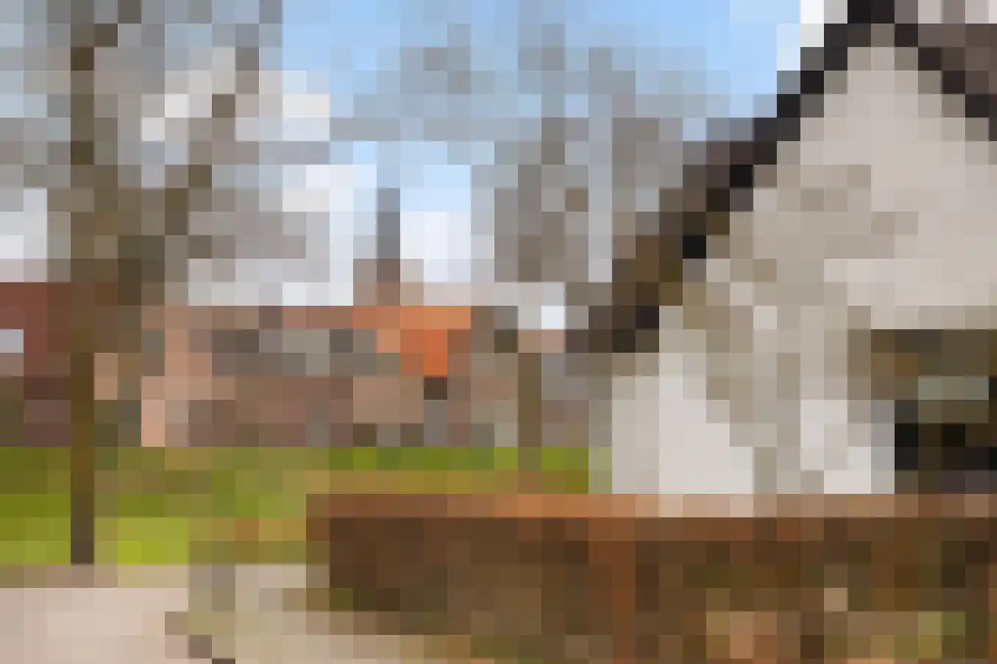 Grote Gracht 59 Hattem thumbnail 41