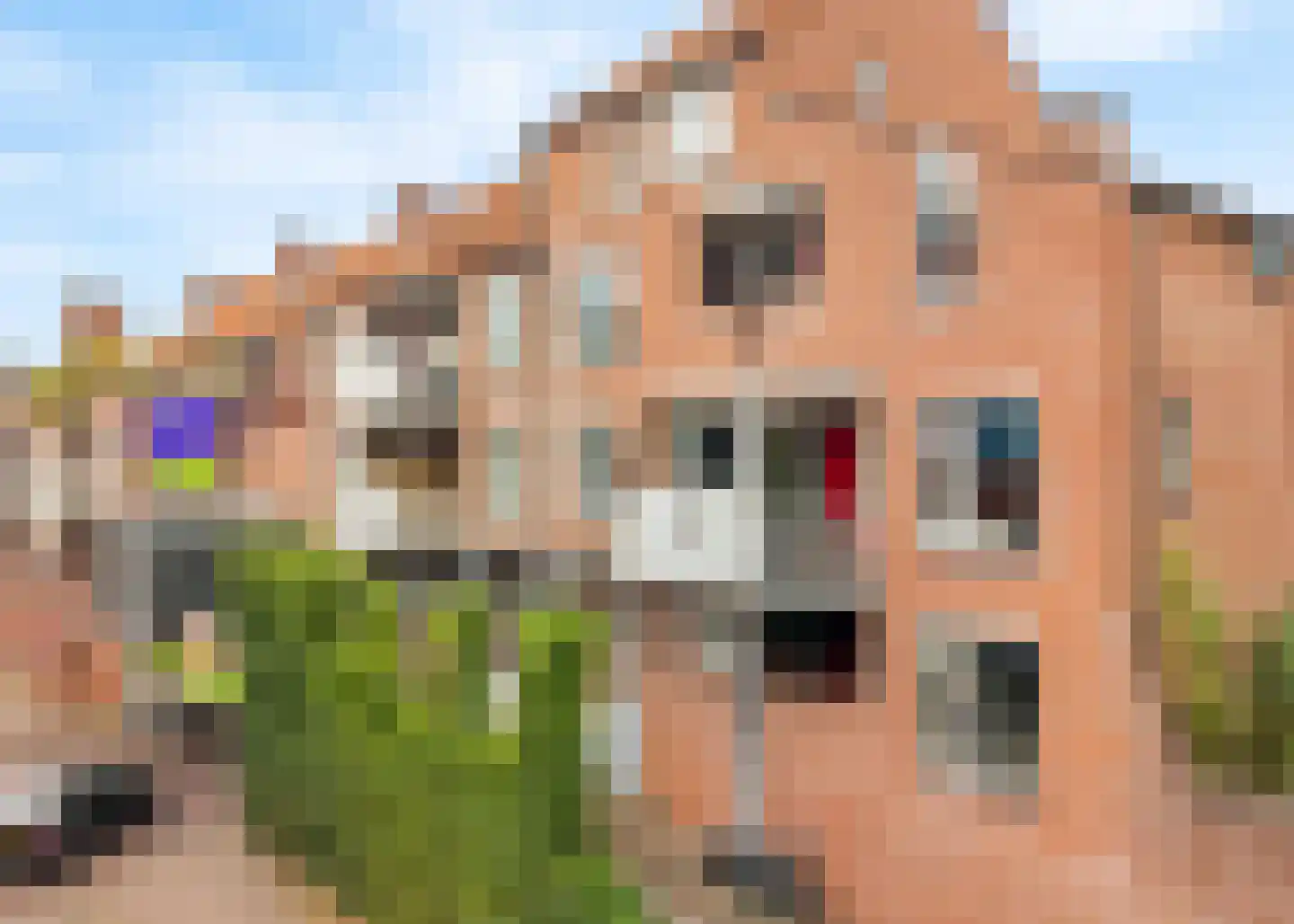 Grote Haag 114 Amersfoort thumbnail 23