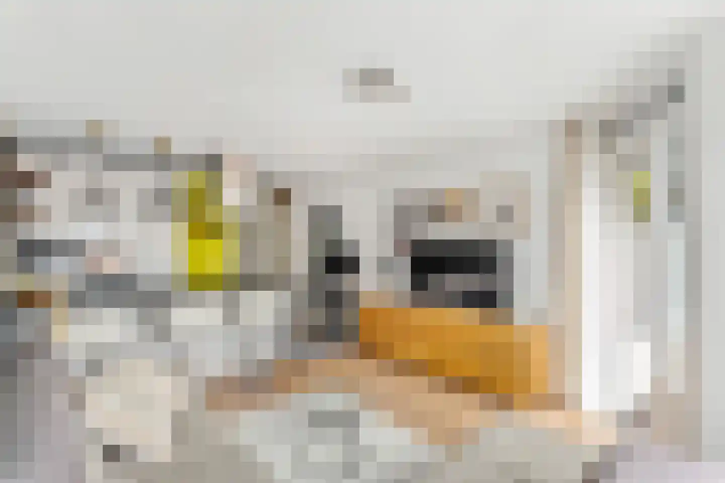 Grote Haag 114 Amersfoort thumbnail 4