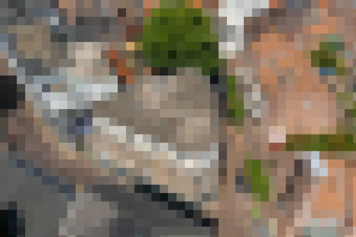 Grote Haag 20 Amersfoort thumbnail 25