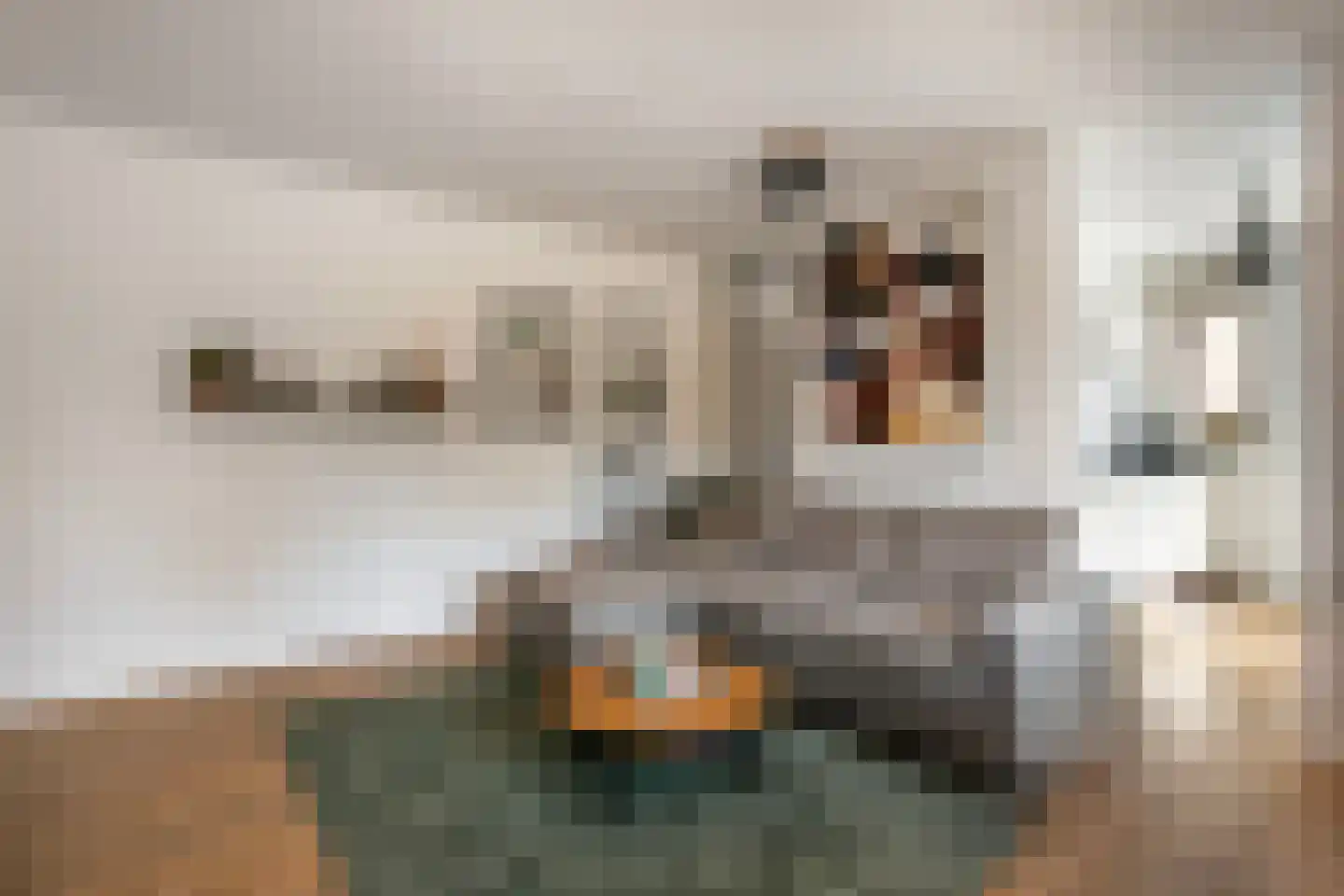 Grote Haag 20 Amersfoort thumbnail 9