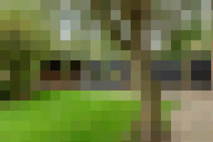 Grote Haag 41 Zeewolde thumbnail 36