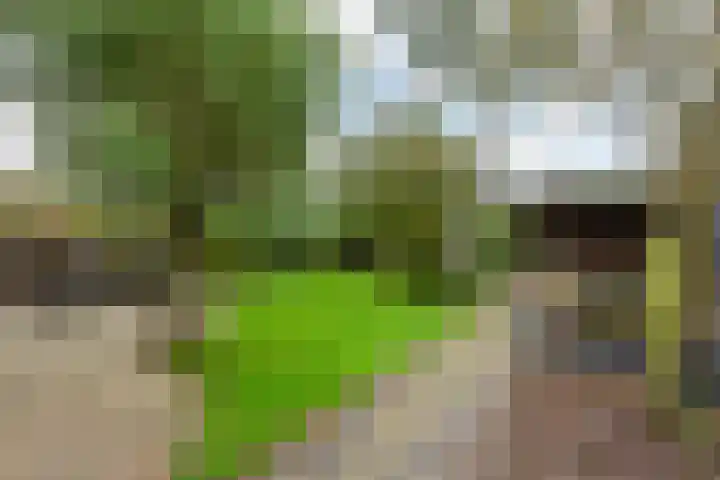 Grote Haag 41 Zeewolde thumbnail 37