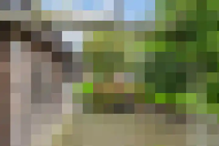 Grote Haag 41 Zeewolde thumbnail 38