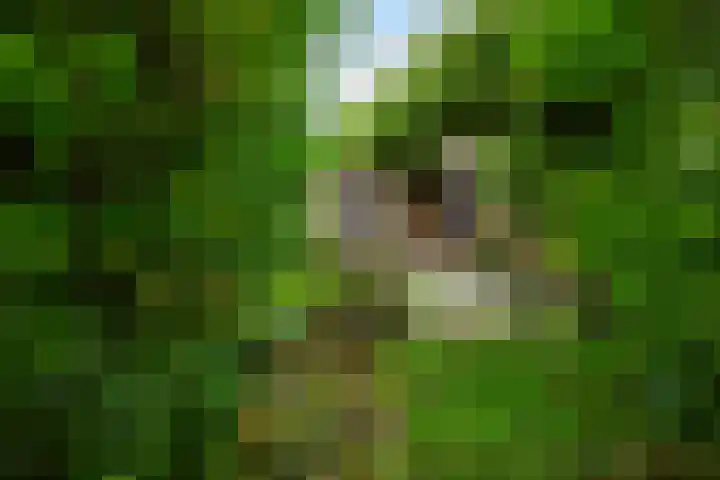 Grote Haag 41 Zeewolde thumbnail 43