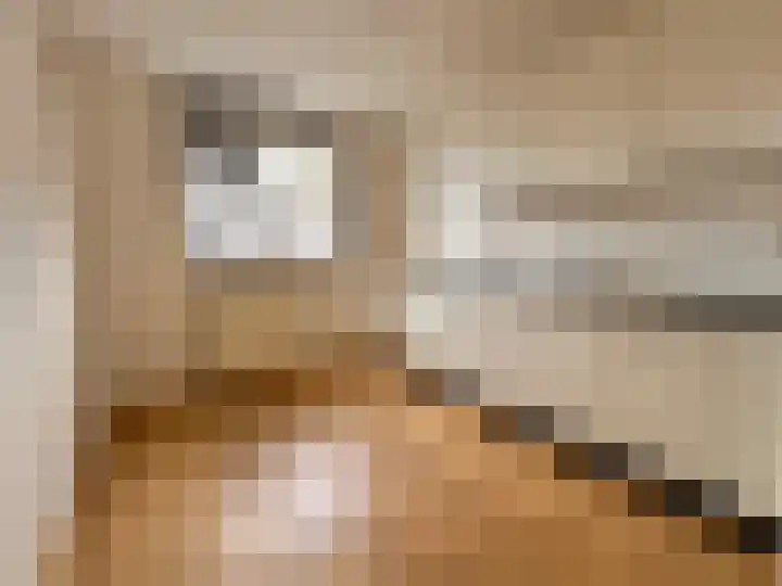 Grote Haag 5 Zeewolde thumbnail 10