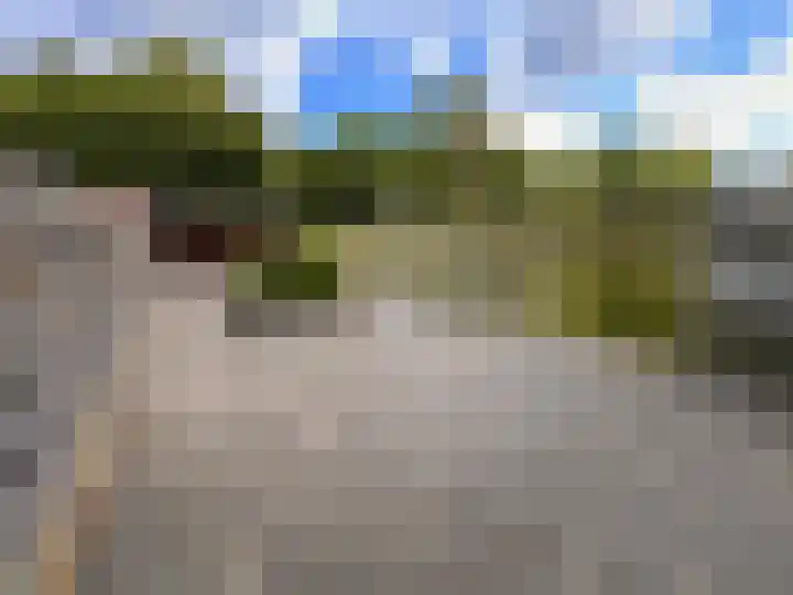 Grote Haag 5 Zeewolde thumbnail 29
