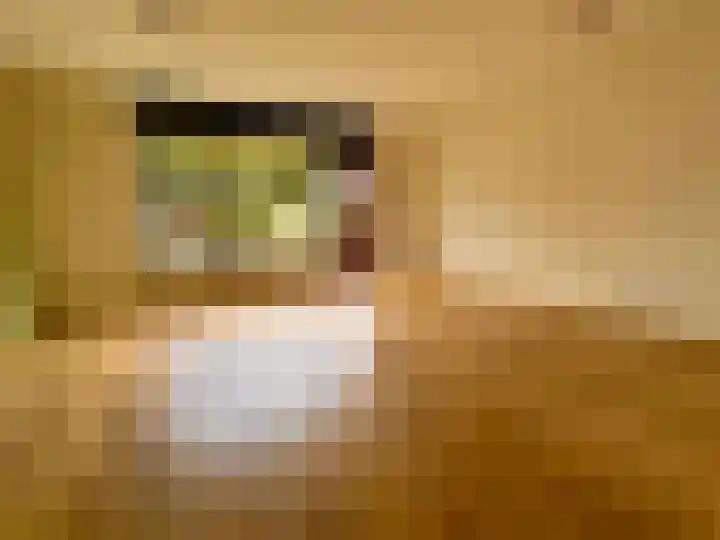 Grote Haag 5 Zeewolde thumbnail 5