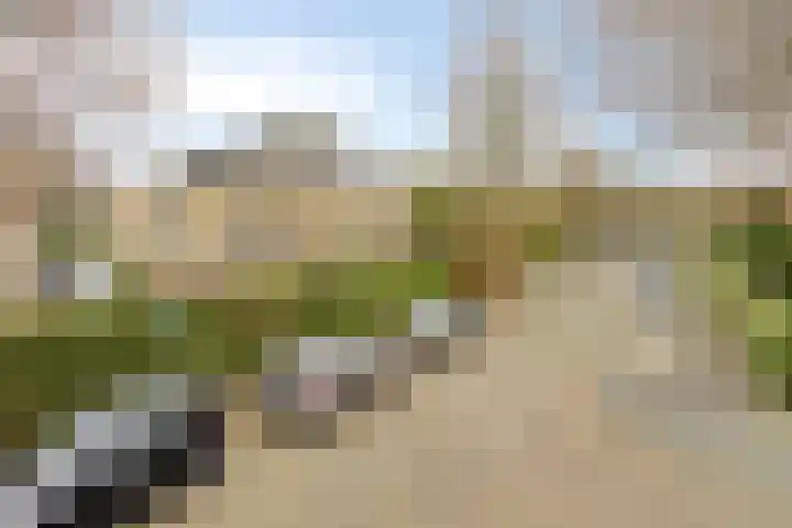 Grote Haag 59 Zeewolde thumbnail 5