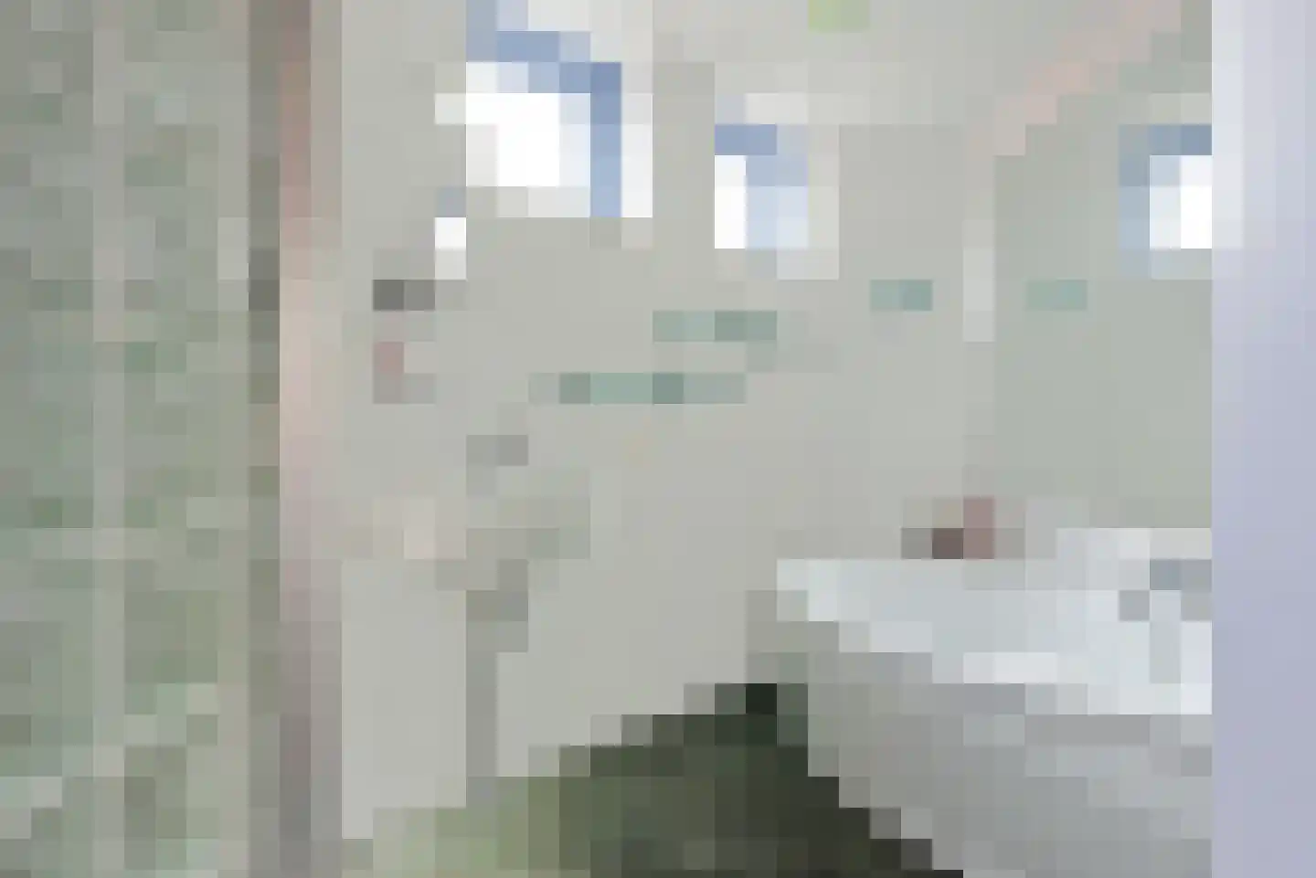Grote Haag 71 Amersfoort thumbnail 28