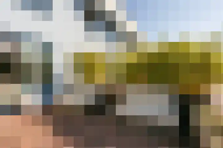 Grote Haag 77 Amersfoort thumbnail 20