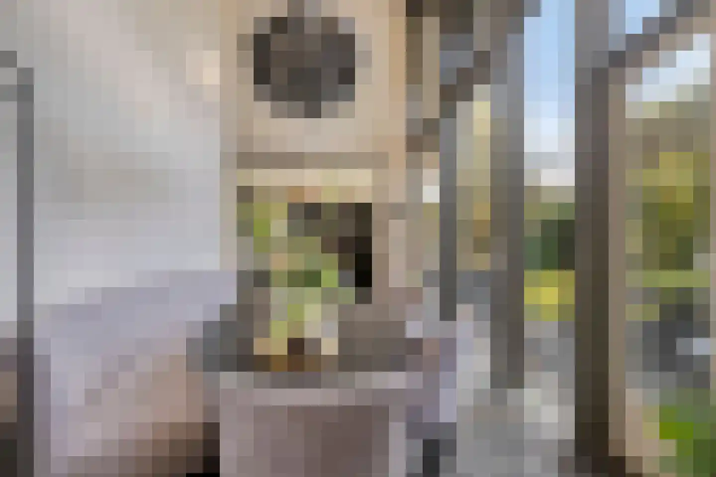 Grote Haag 85 Zeewolde thumbnail 15