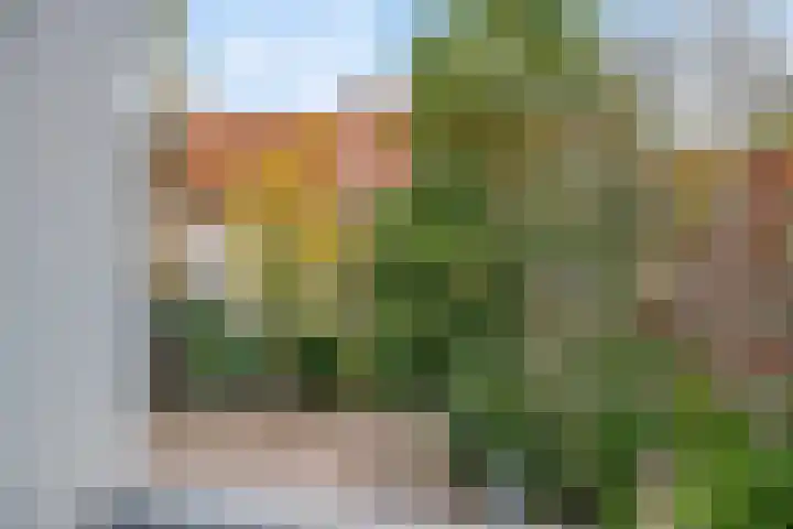 Grote Haag 97 Amersfoort thumbnail 38