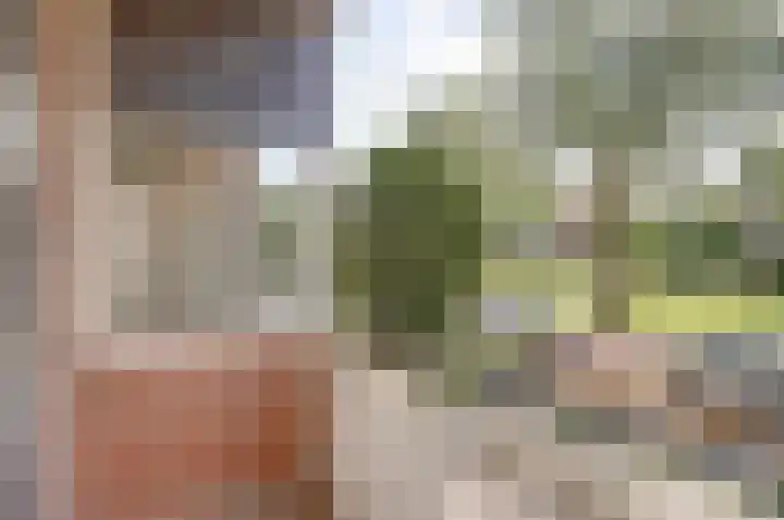 Grote Haarsekade 41 a Gorinchem thumbnail 25