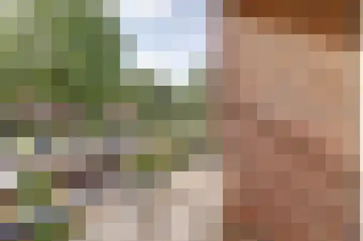 Grote Haarsekade 41 a Gorinchem thumbnail 26