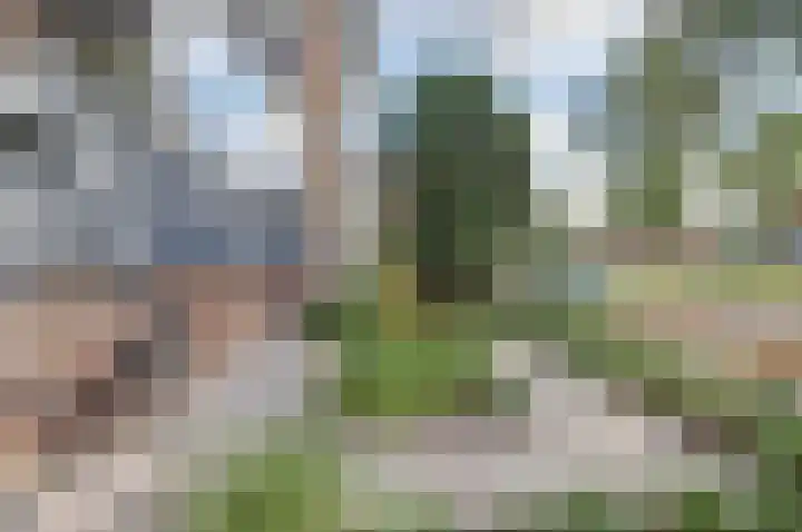 Grote Haarsekade 41 a Gorinchem thumbnail 32