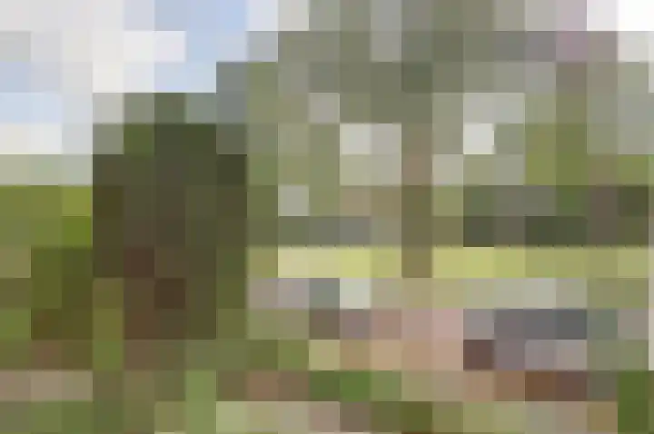 Grote Haarsekade 41 a Gorinchem thumbnail 33