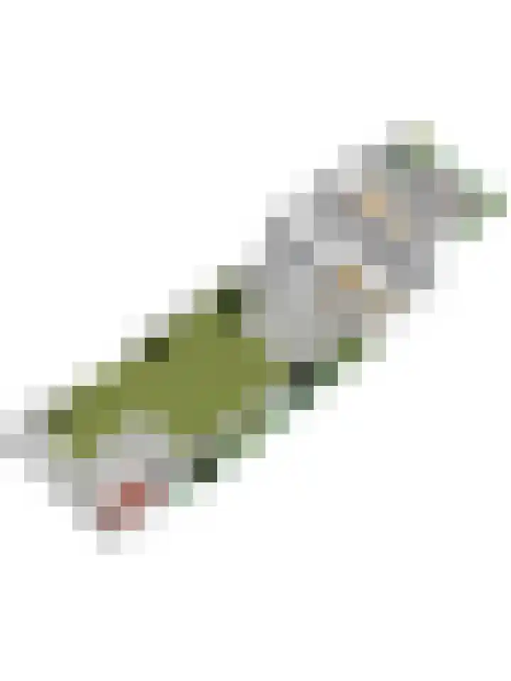 Grote Haarsekade 41 a Gorinchem thumbnail 36