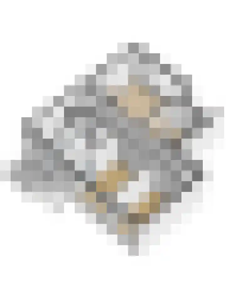Grote Haarsekade 41 a Gorinchem thumbnail 38