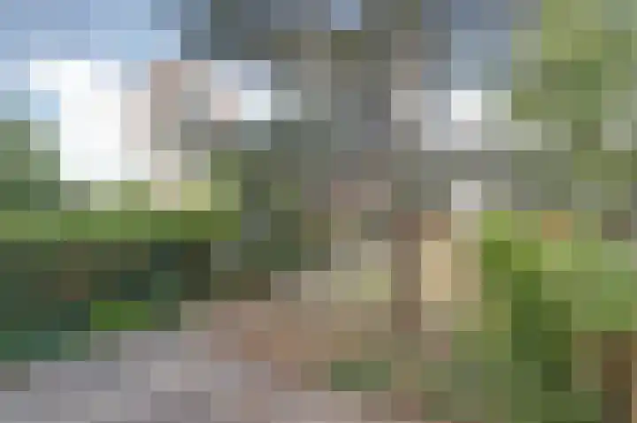 Grote Haarsekade 41 a Gorinchem thumbnail 5