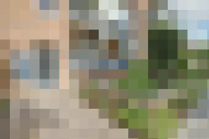 Grote Haarsekade 41 a Gorinchem thumbnail 6