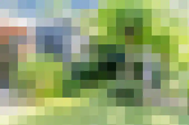Grote Haarsekade 83 Gorinchem thumbnail 43