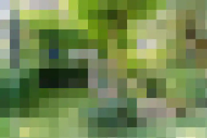 Grote Haarsekade 83 Gorinchem thumbnail 44