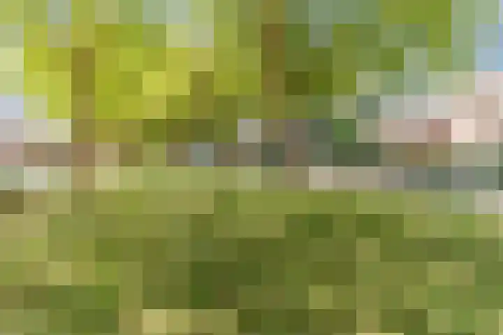 Grote Haarsekade 83 Gorinchem thumbnail 48