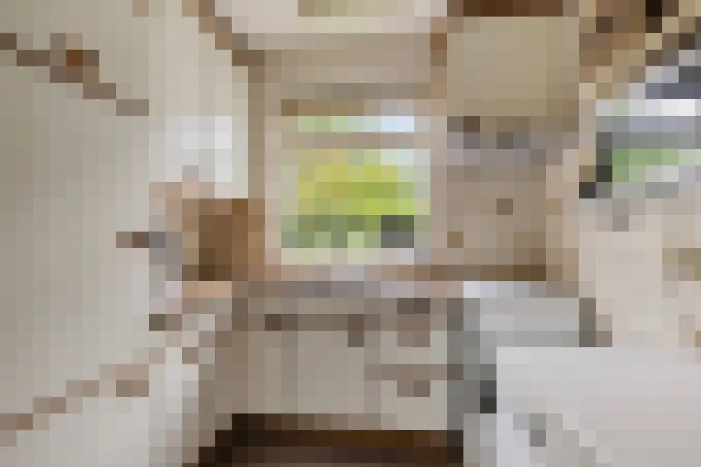 Grote Hadderstraat 9 Uithuizermeeden thumbnail 26