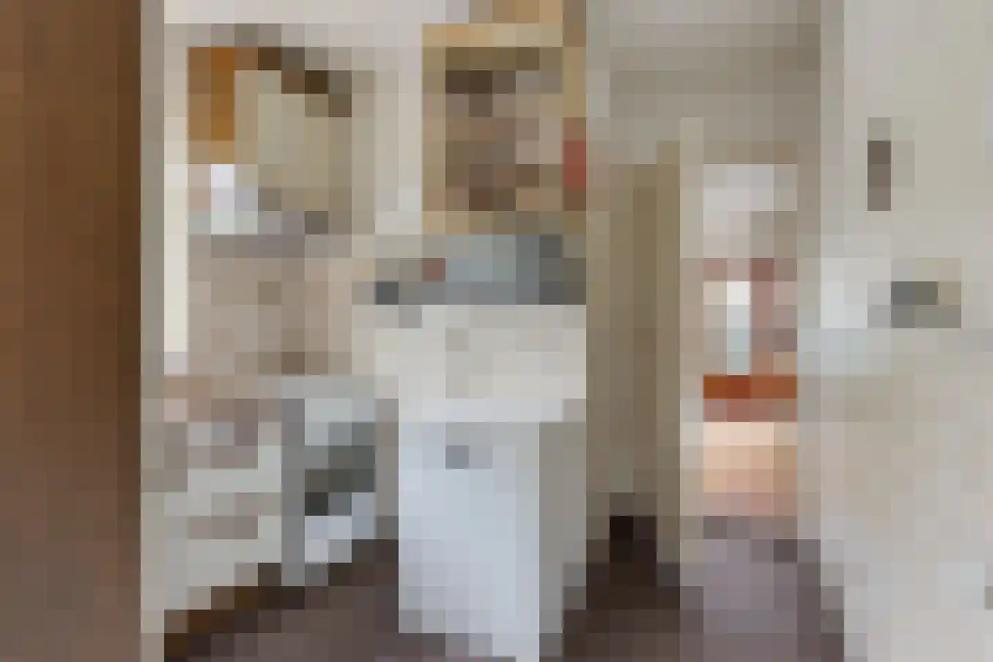 Grote Hadderstraat 9 Uithuizermeeden thumbnail 27