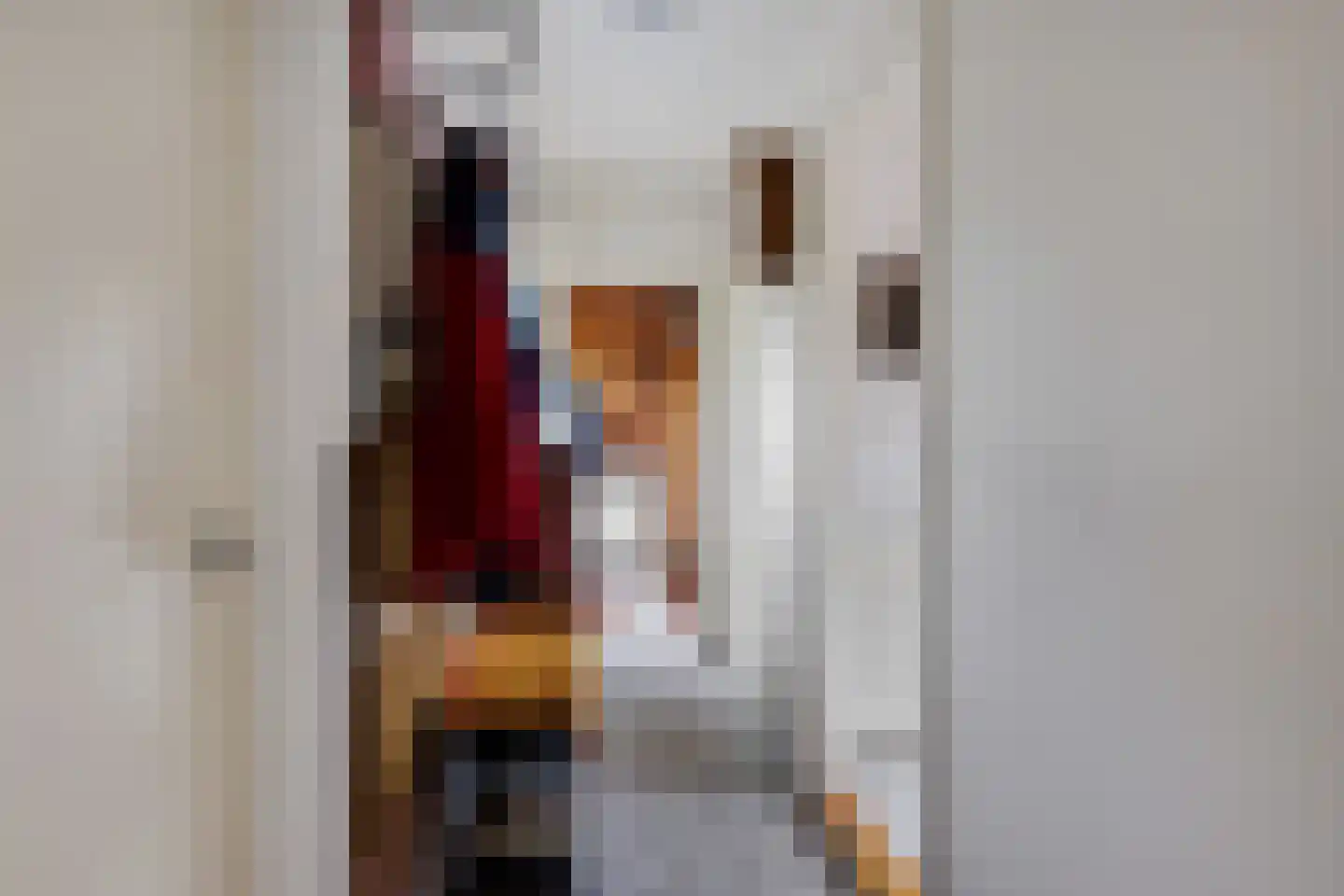 Grote Hadderstraat 9 Uithuizermeeden thumbnail 34