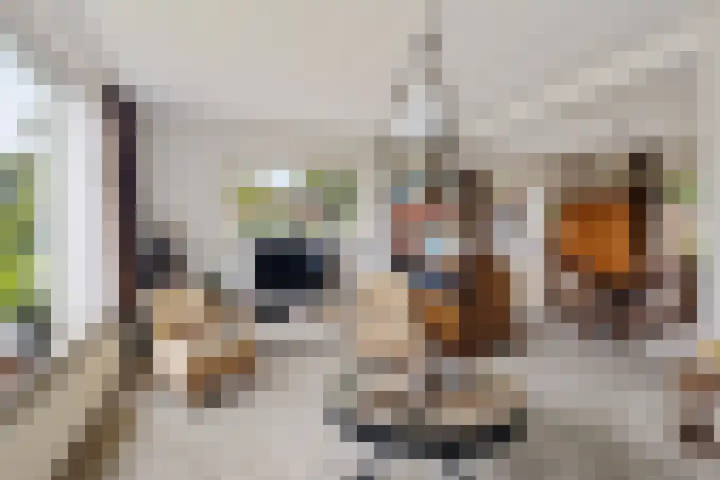 Grote Hadderstraat 9 Uithuizermeeden thumbnail 4