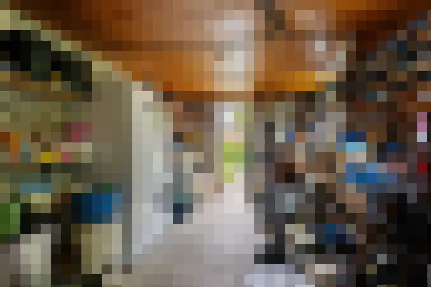 Grote Hadderstraat 9 Uithuizermeeden thumbnail 40