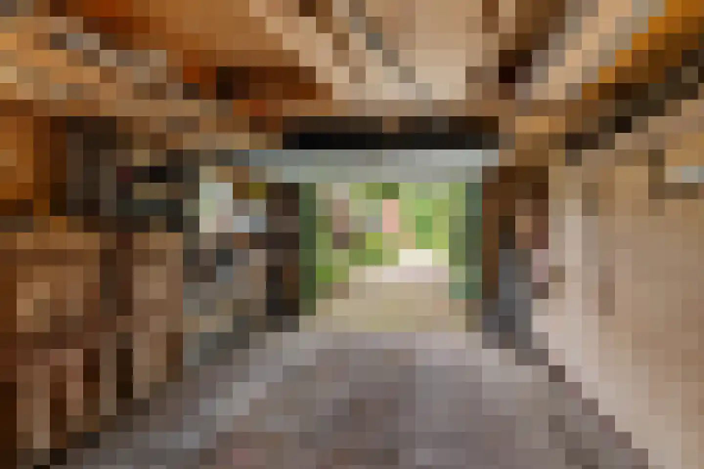 Grote Hadderstraat 9 Uithuizermeeden thumbnail 41
