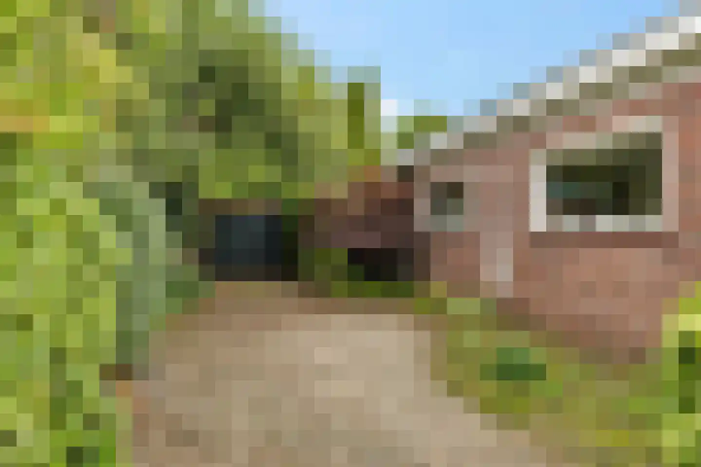Grote Hadderstraat 9 Uithuizermeeden thumbnail 7