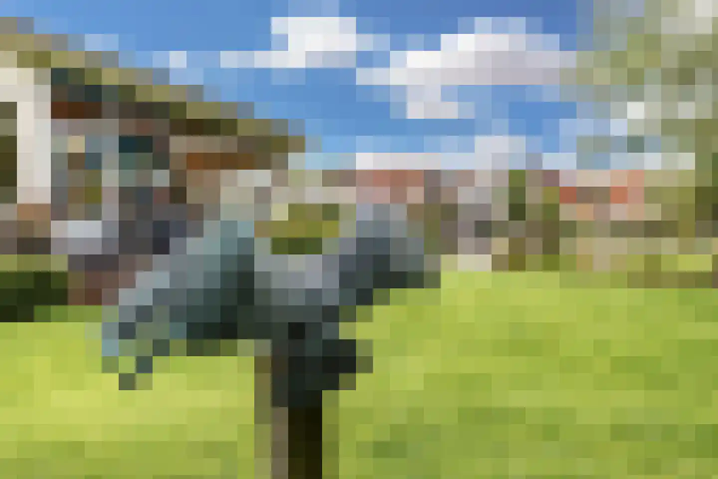 Grote Haven 30 Haastrecht thumbnail 25