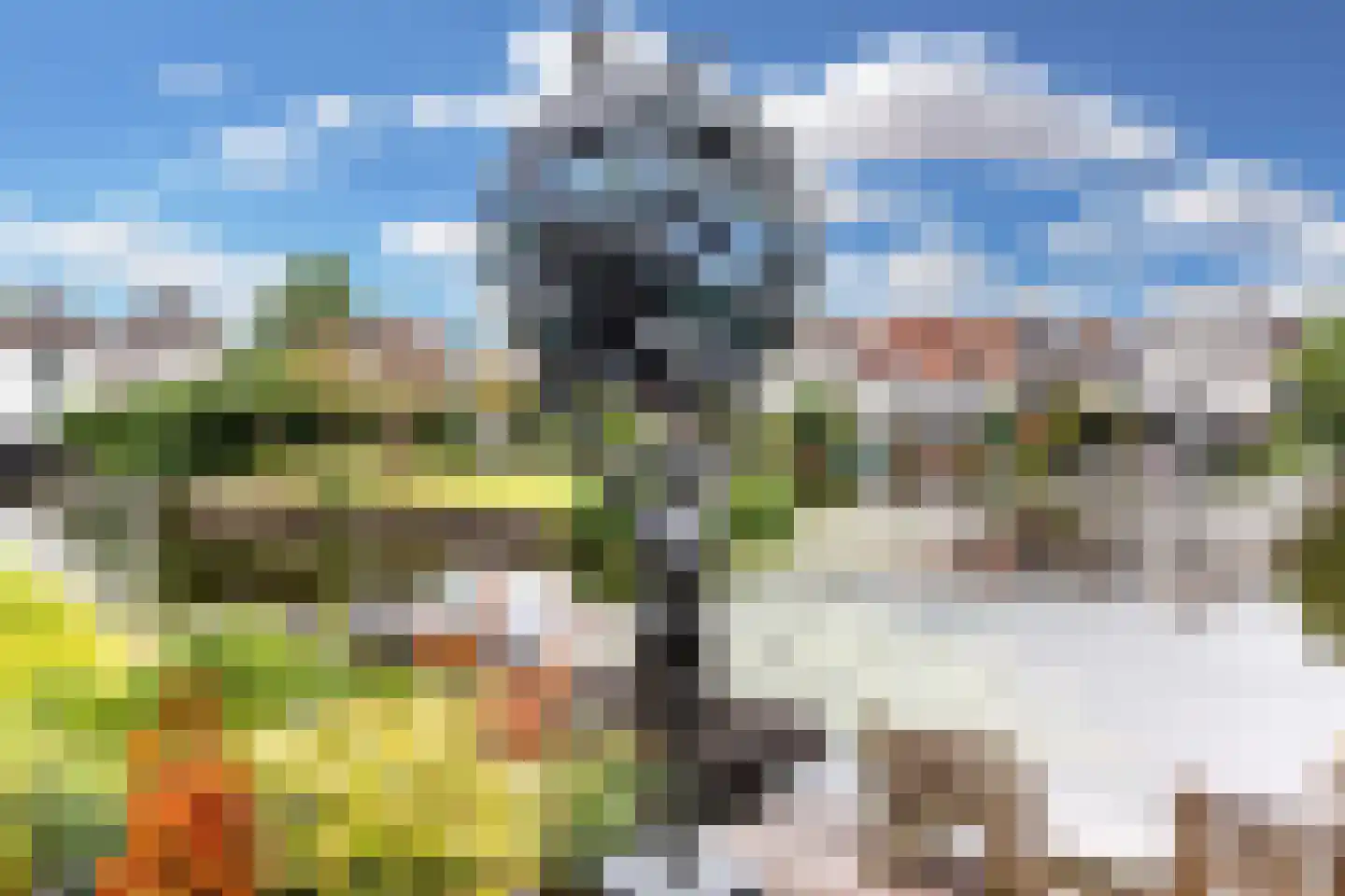 Grote Haven 30 Haastrecht thumbnail 26