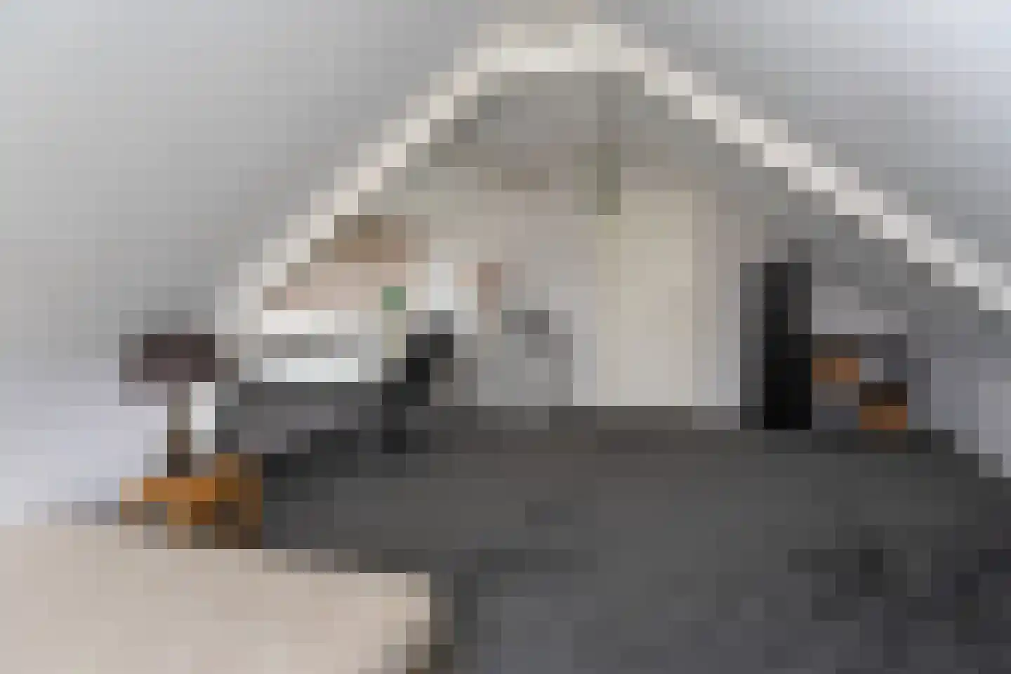 Grote Haven 30 Haastrecht thumbnail 58