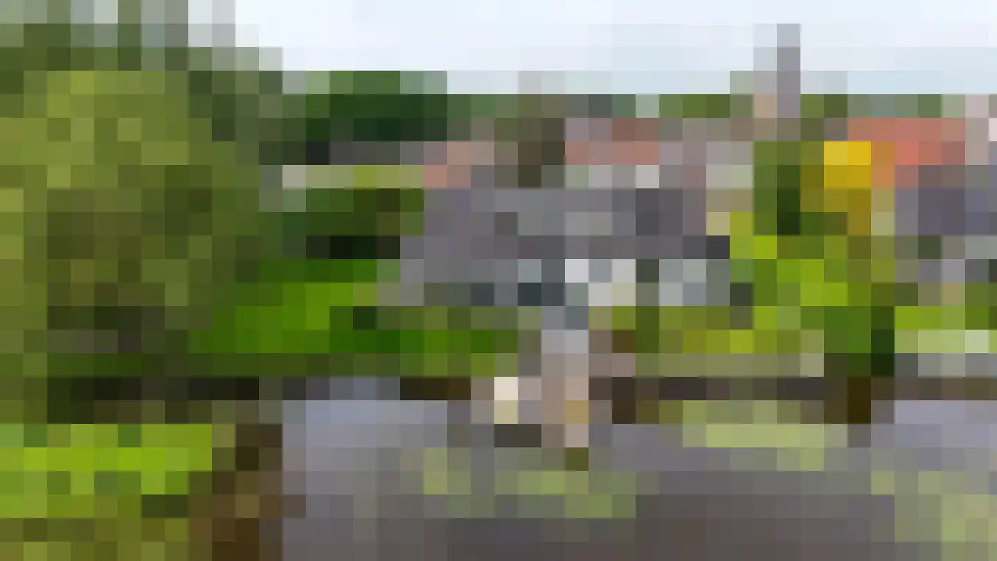 Grote Haven 30 Haastrecht thumbnail 62