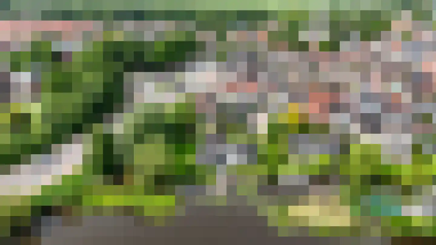 Grote Haven 30 Haastrecht thumbnail 63