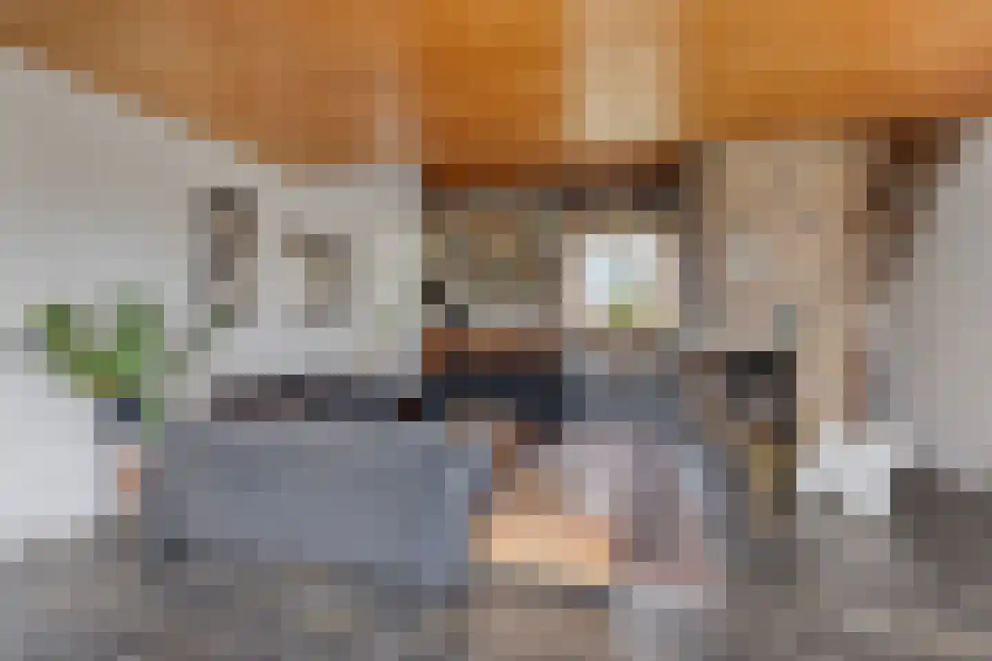 Grote Hazelaar 14 Bergen op Zoom thumbnail 10