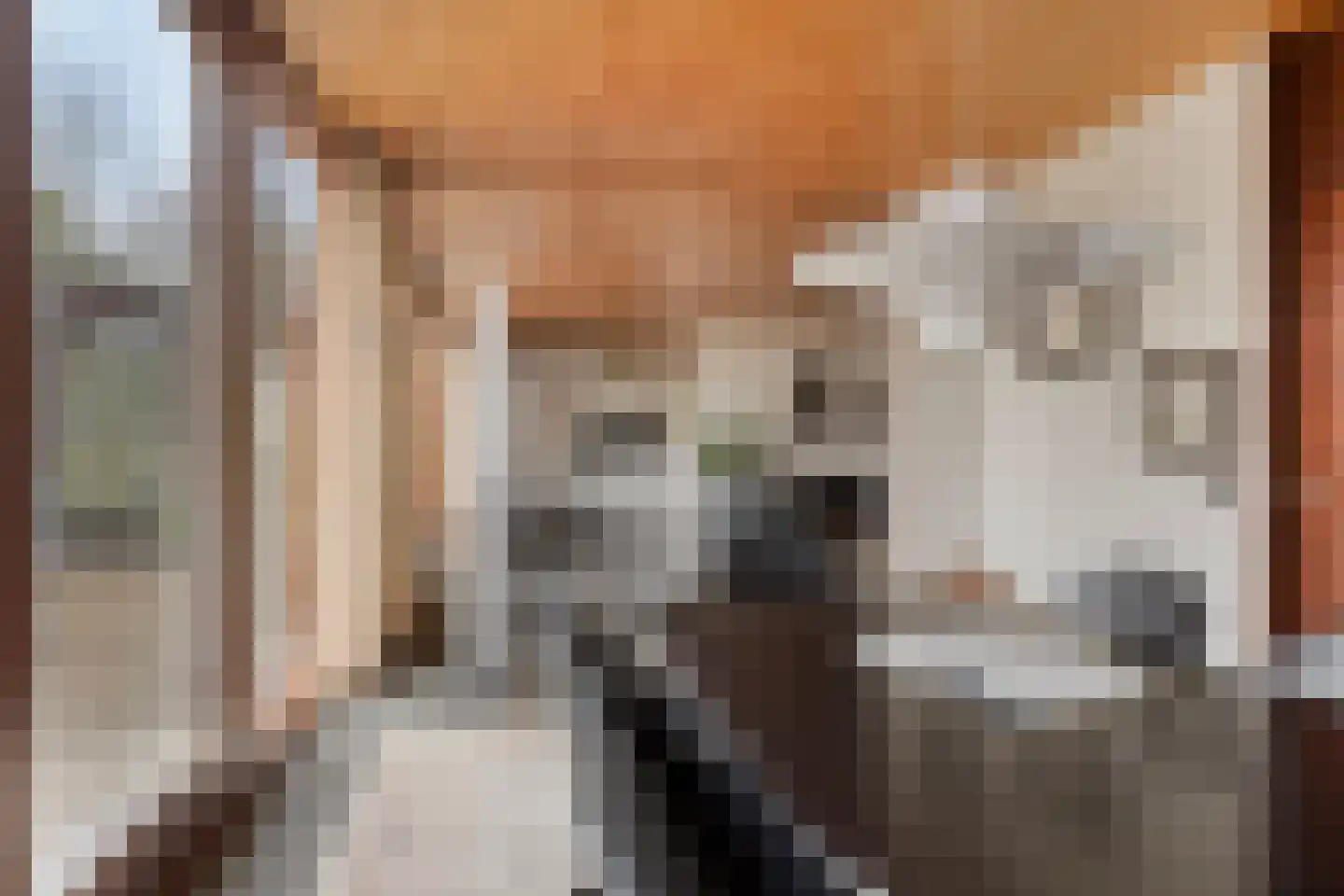Grote Hazelaar 14 Bergen op Zoom thumbnail 18